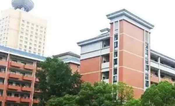 武珞路中学 武珞路中学有几个校区