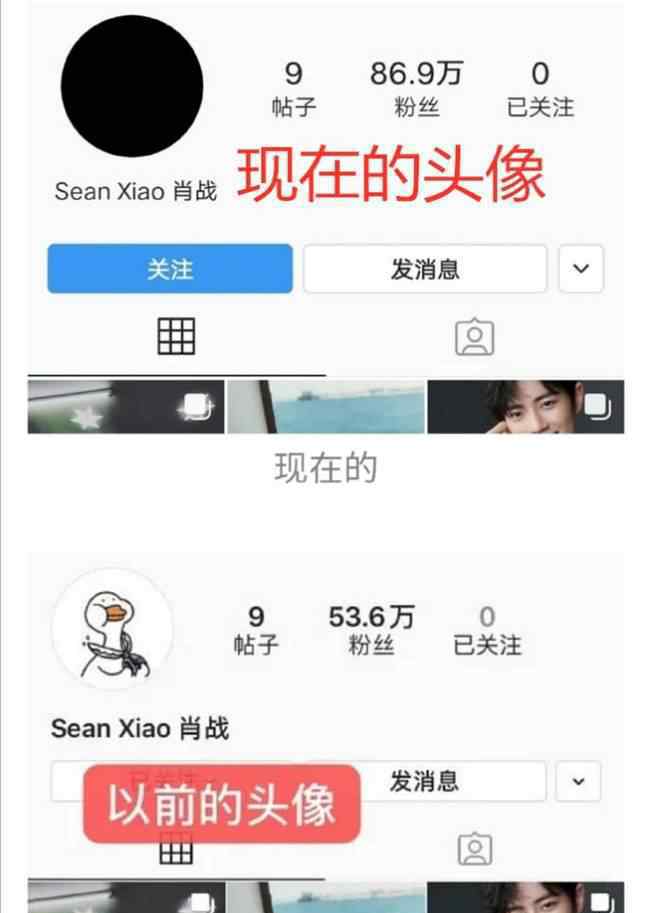 ins头像 肖战ins头像怎么回事?什么情况?终于真相了,原来是这样！