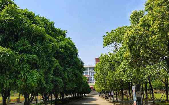 武汉科技大学专科 武汉科技大学城市学院有没有专科+有没有专升本