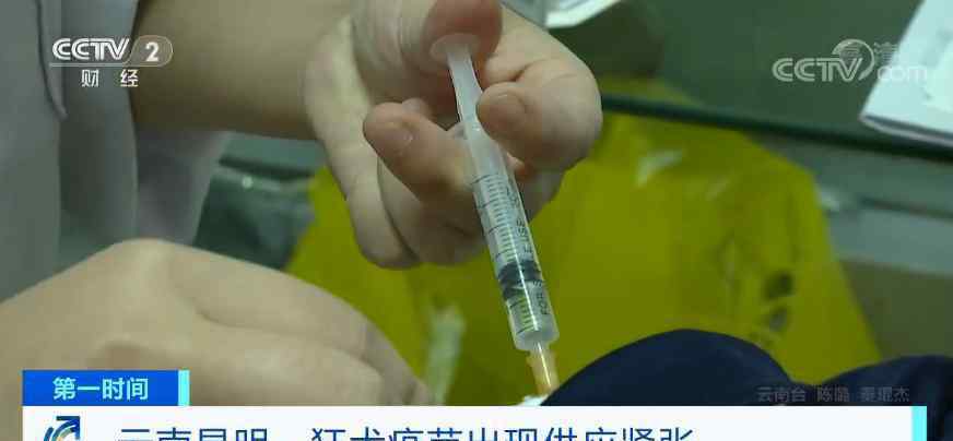 被猫抓伤怎么办 全国多地人用狂犬疫苗短缺！为何“一针难求”？被猫狗抓伤怎么办？