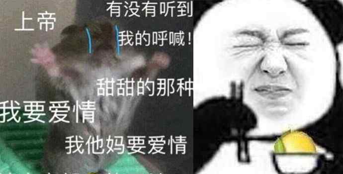 酸是什么意思 我酸了什么意思 告诉你具体含义及酸了的梗该怎么回复