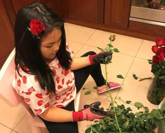 王诗龄的微博 李湘在微博上晒出一组女儿王诗龄插花的照片 Angela王诗龄格外可爱