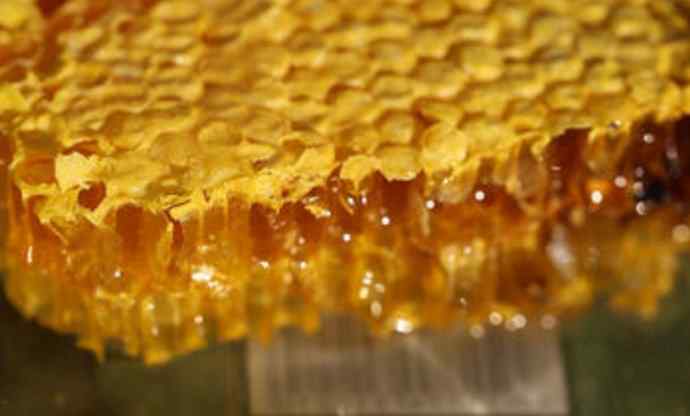 蜂蜜可以放冰箱吗 蜂蜜怎么保存 蜂蜜可以放冰箱吗