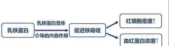 中间多少行人泪 安琪纽特：中间多少行人泪，乳铁蛋白智商税？