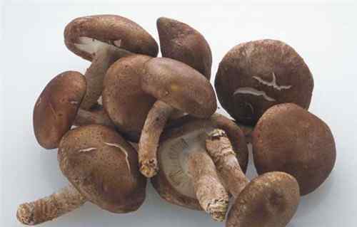花菇和香菇的区别 花菇与香菇的区别 两者哪个营养值高