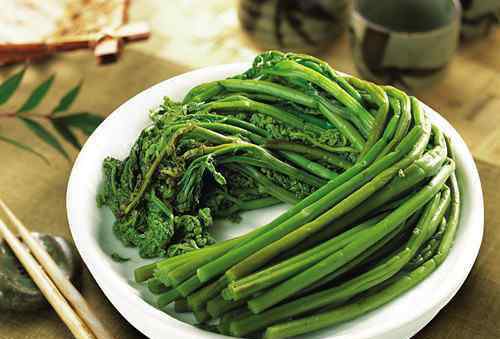 山野菜的种类 山野菜的种类及食用功效   如何把山野菜做成各式美食