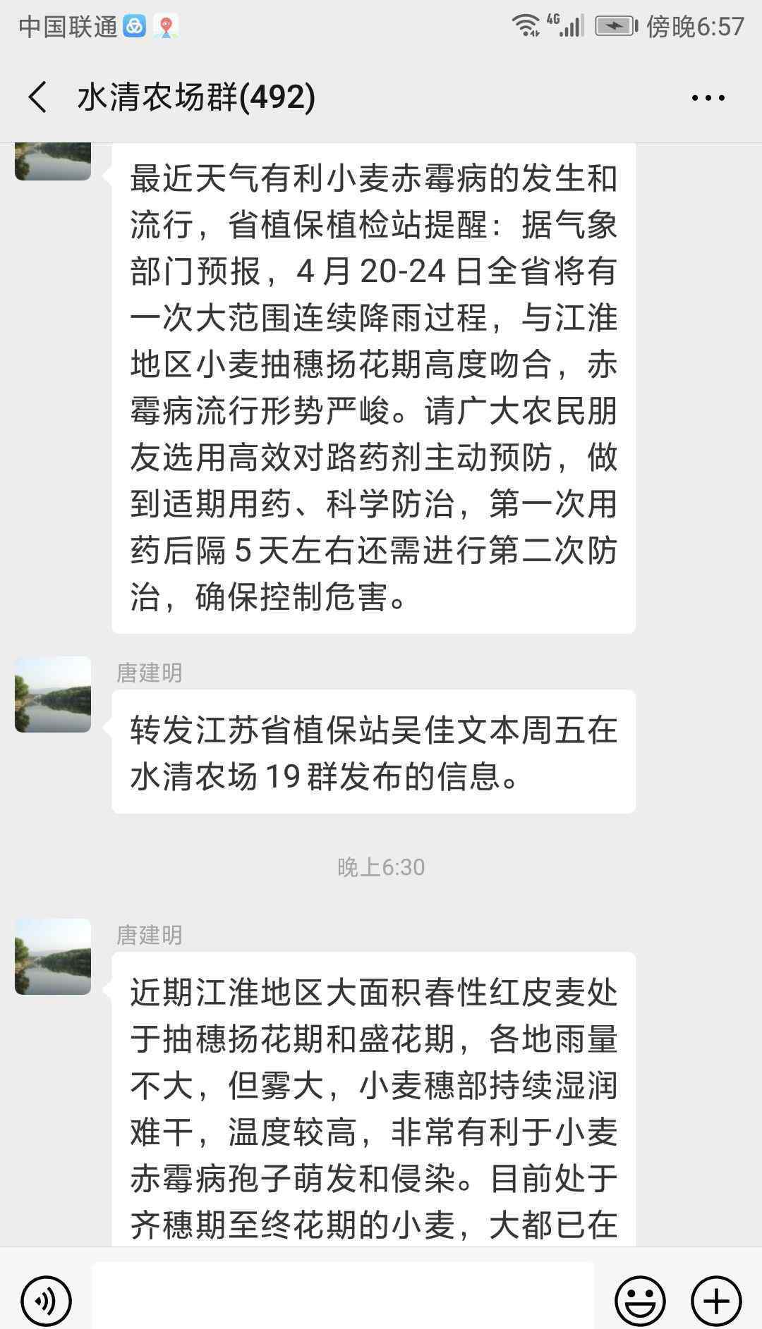 小麦一喷三防最佳时间 高危！雨小雾大穗难干，扬花期小麦赤霉病流行风险大应及时做好小麦一喷三防~~~花期喷洒农药应注意哪些事项！