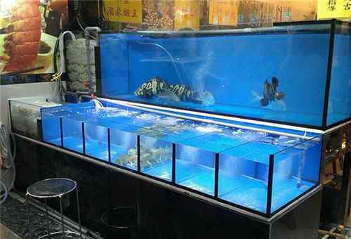海鲜缸 海鲜鱼缸是干什么用的 四种鱼缸设计简介