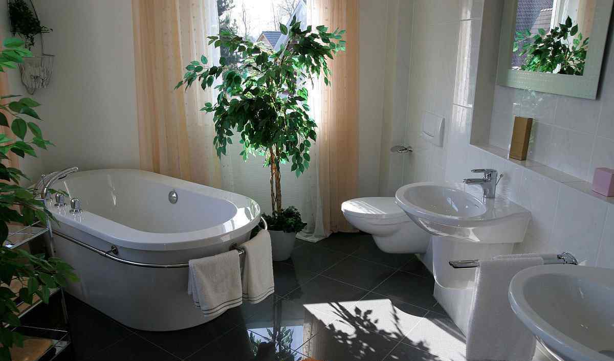 卫生间放什么小盆植物 植物摆放有讲究！卧室、厨房、卫生间你都放了哪些植物？