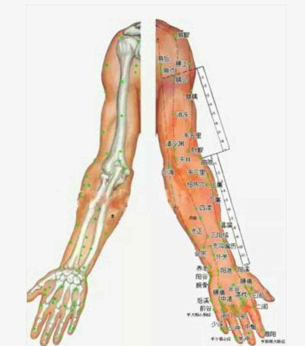 针灸穴位图 超清晰穴位图文，医院50个中医针灸常用穴位功效图！