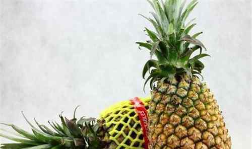 凤梨和菠萝的区别 凤梨与菠萝的区别是什么 凤梨和菠萝有哪些营养价值