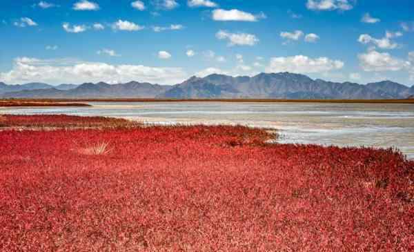 九网旅游 9月旅游最佳地点国内-玩什么