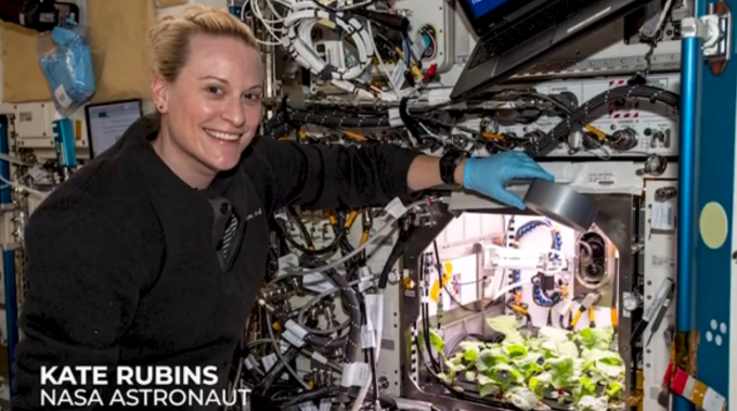 NASA收获史上首批太空萝卜 网友：吃了会有超能力吗？
