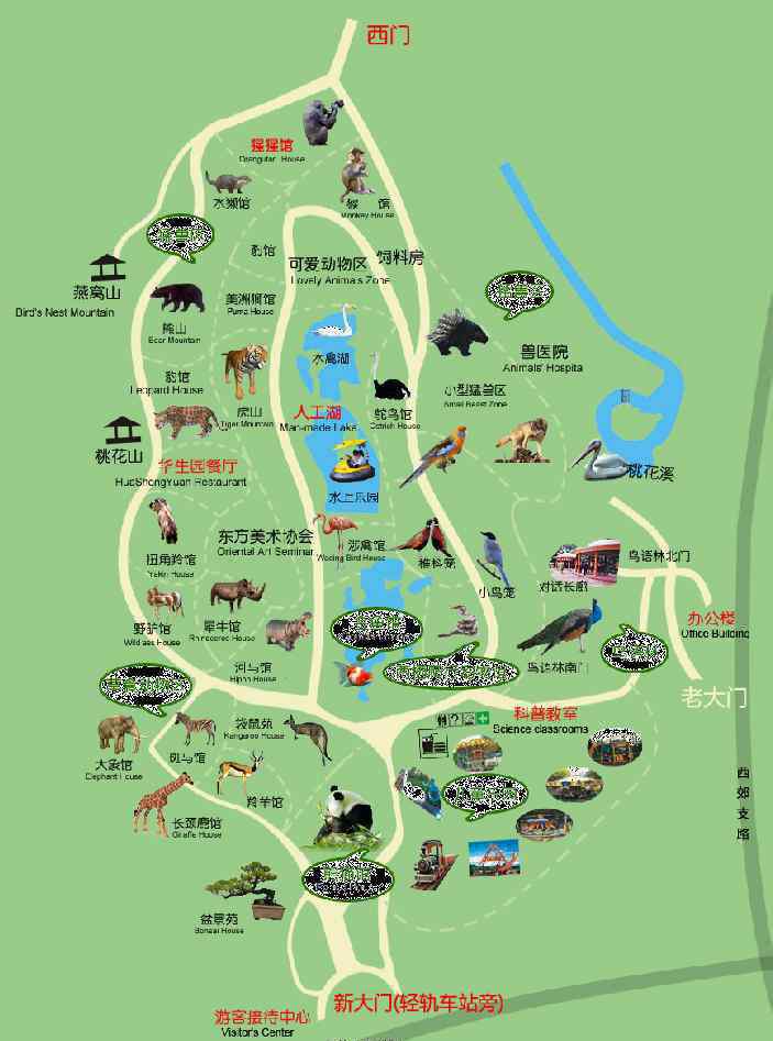 重庆动物 2019重庆动物园开放时间+门票价格+优惠政策