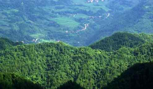 千野草场 2018重庆石柱千野草场门票价格+优惠政策