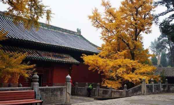 大觉寺 北京大觉寺什么最灵验