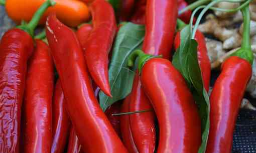 羊角椒 “菜中维C之王”羊角椒是甜的还是辣的?种什么品种好?怎么种?