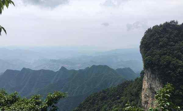 厦门天竺山 2020厦门天竺山预约方式 厦门天竺山攻略