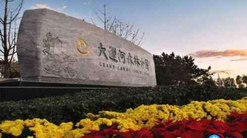 运河森林公园 北京大运河森林公园里面有哪些花 北京大运河森林公园要门票吗