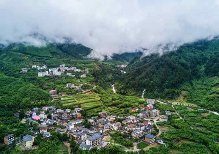 临安天目山农家乐 2019杭州农家乐哪家好（价格+地址+推荐美食）