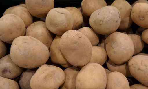 红皮土豆的禁忌 红皮土豆与黄皮土豆的区别是什么？是转基因吗？功效作用有哪些？