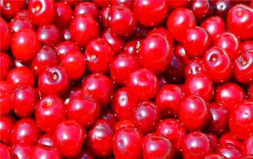 蔓越莓真的治妇科病吗 “小红莓”蔓越莓的功效与副作用有哪些？真的治妇科病吗？市场价格是多少？