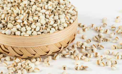 薏米的功效与作用及食用方法 薏仁米的功效与作用及食用方法有哪些？薏仁和薏米有什么区别？