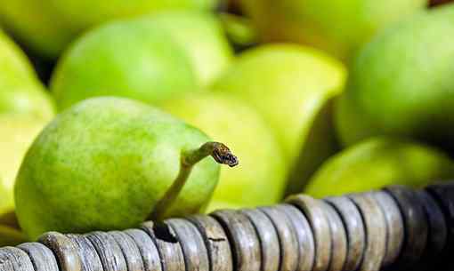 红梨的功效与作用 梨子的功效与作用是什么？有什么禁忌么？附：梨子的营养成分表