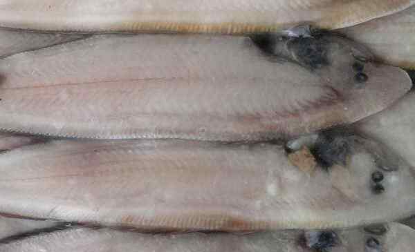 龙利鱼热量 高蛋白鱼龙利鱼的热量是多少?市场价多少钱一斤?和巴沙鱼有什么区别?