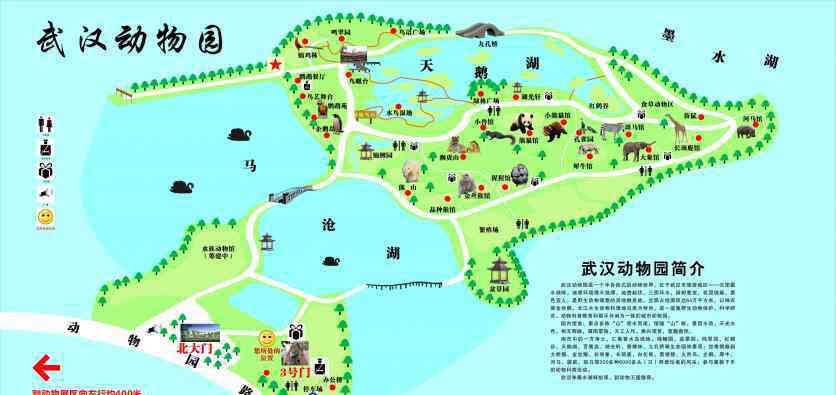 武汉市地图高清版大图 武汉动物园导游图