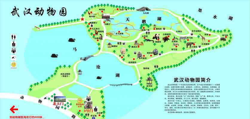 武汉市地图高清版大图 武汉动物园导游图