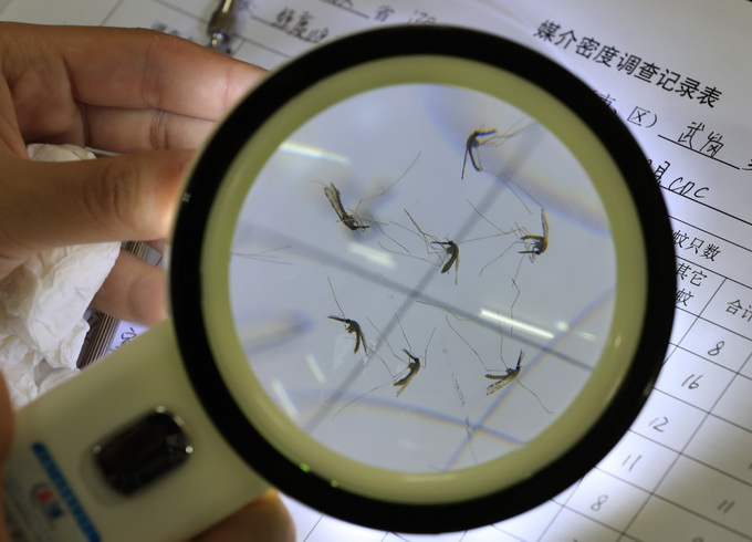 连续近4年无本地原发感染疟疾病例报告 中国向世卫申请国家消除疟疾认证