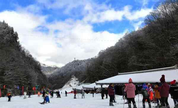 神农架香蕉 神农架有几个滑雪场 哪个滑雪场更好