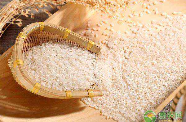 大米价格行情 大米价格多少钱一斤？附2020大米价格行情及走势分析