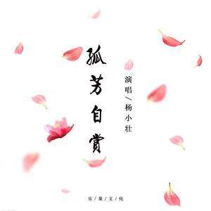 孤芳自赏的女人 我真的很怕黑是什么歌，孤芳自赏！