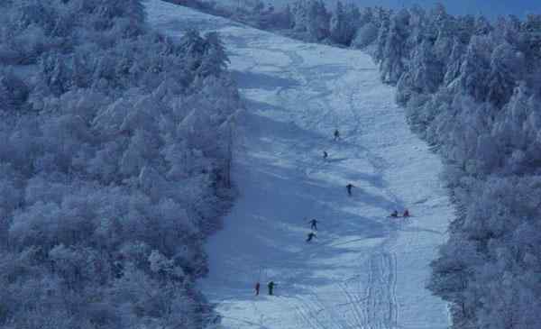 神农架香蕉 神农架有几个滑雪场 哪个滑雪场更好