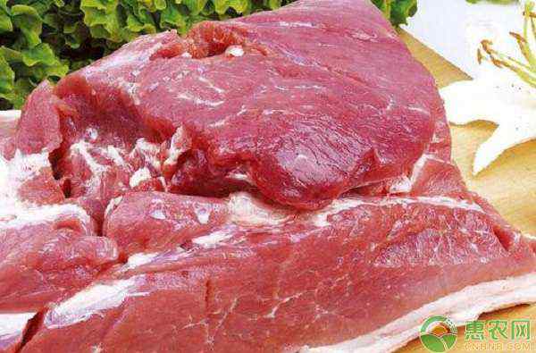 猪肉价格今日价 西安今日猪肉价格行情走势分析