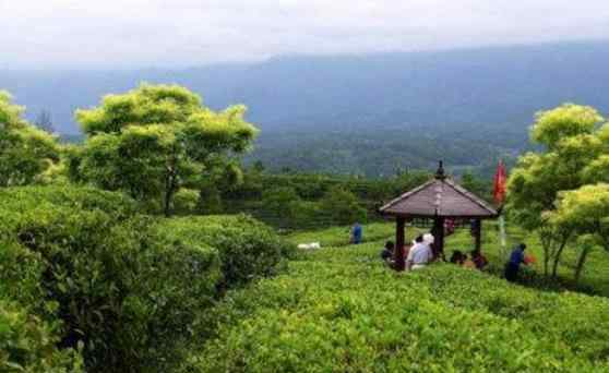 适合老人旅游的地方 西安周边适合老人游玩的地方有哪些