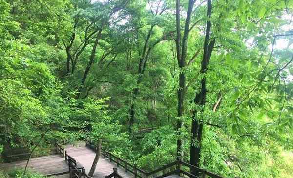 千岛湖旅游路线 千岛湖2日游玩攻略及最佳路线