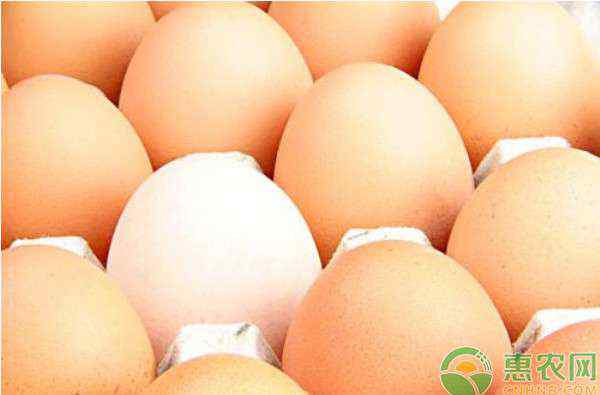 鸡蛋现在多少钱一斤 今天鸡蛋价格多少钱一斤？2020鸡蛋价格行情走势分析