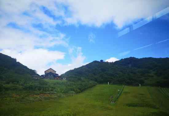 金佛山旅游 金佛山一日游详细攻略