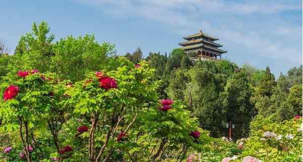 北京踏青 北京周边适合春天踏青的地方