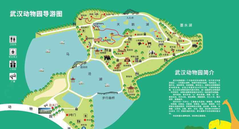 汉阳动物园 2020武汉动物园开放时间 门票优惠政策