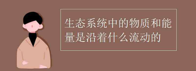 沿着 生态系统中的物质和能量是沿着什么流动的