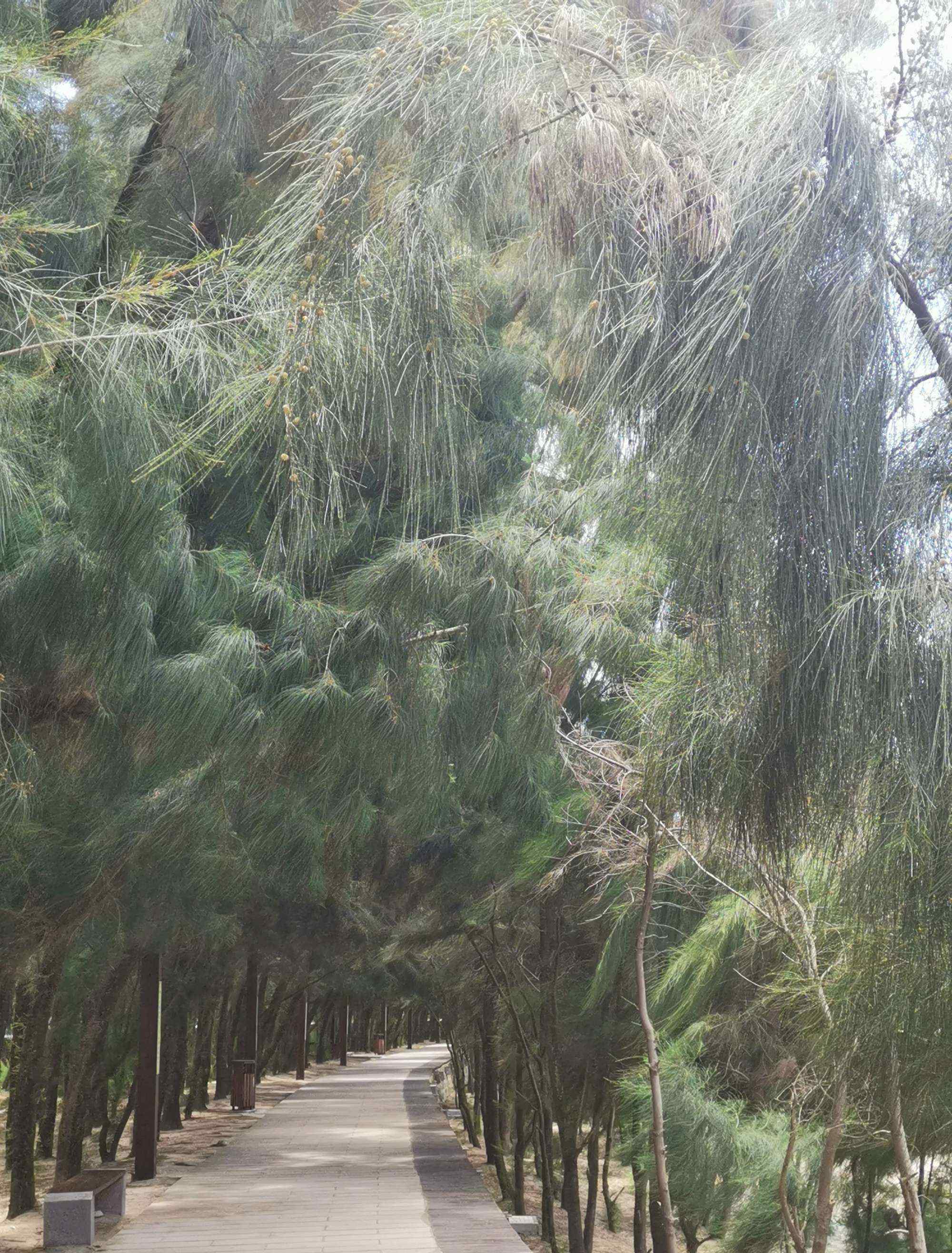 漳州马銮湾 福建漳州东山岛马銮湾