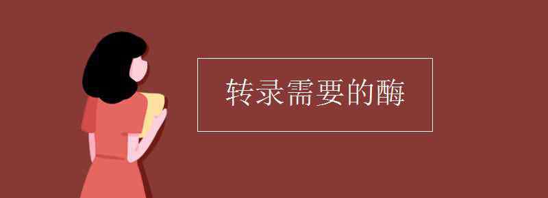 转录需要的酶 转录需要的酶