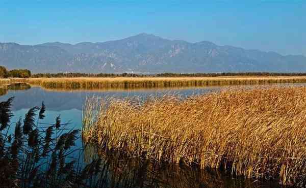 野鸭湖湿地公园 2019北京野鸭湖湿地公园门票价格+开放时间+游玩项目