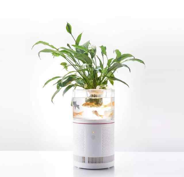 植物空气净化器 好物｜一台“特别”的空气净化器，还能养鱼、养植物！