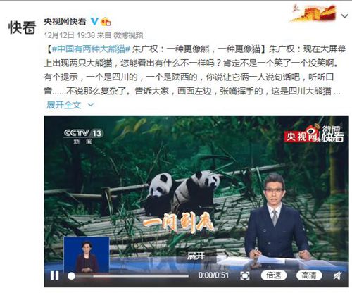中国2种大熊猫已30万年没有来往：四川更像熊，秦岭更像猫 事情经过真相揭秘！