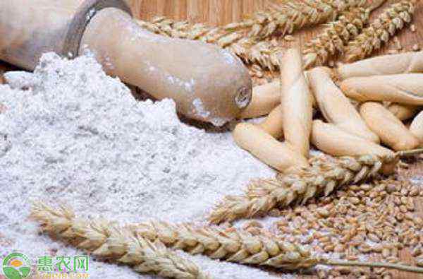 小麦粉可以做什么 小麦粉可以做什么？